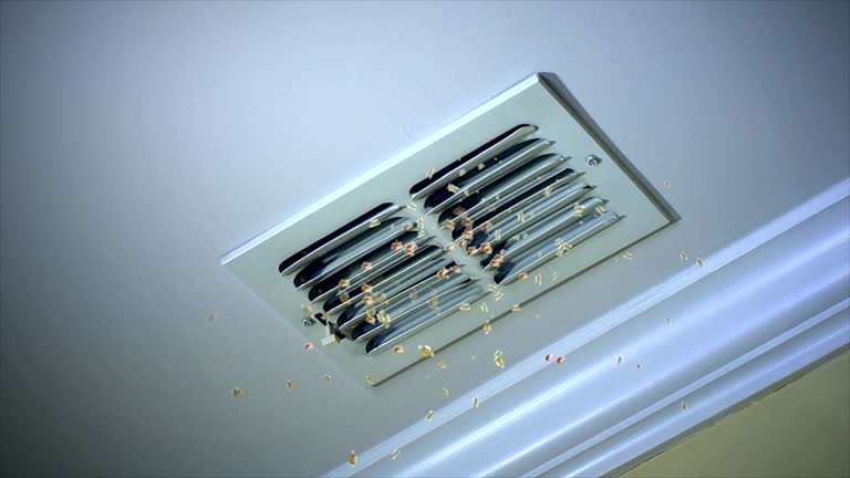 Best Professional Duct Cleaning Services  in South Park, WY