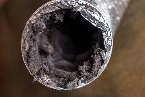Best HVAC Duct Inspection Services  in South Park, WY